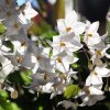 Sonstige-005